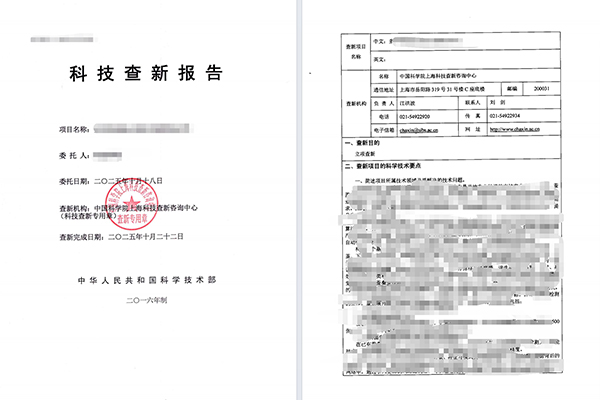 报告单样例
