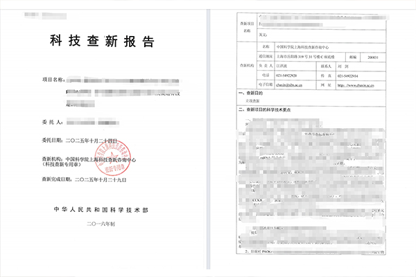 报告单样例